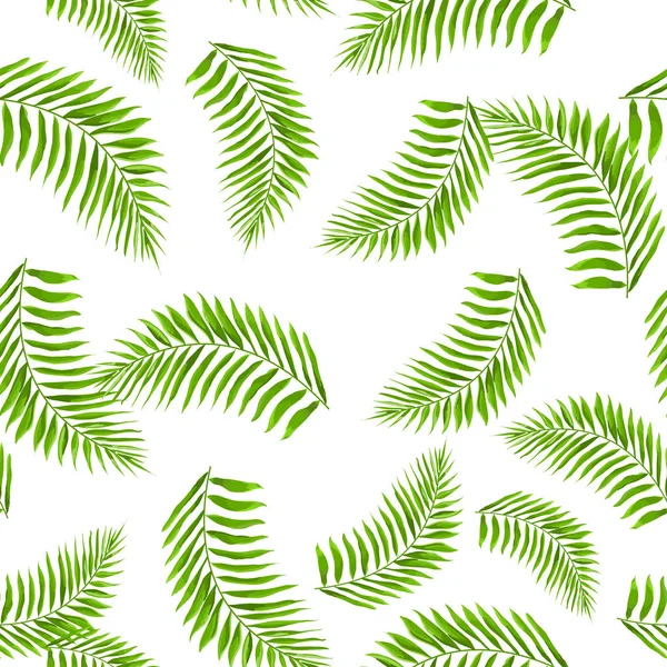 Patrón sin costuras con hojas exóticas tropicales — Archivo Imágenes Vectoriales