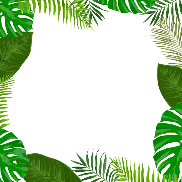 Marco con hojas exóticas verdes — Vector de stock