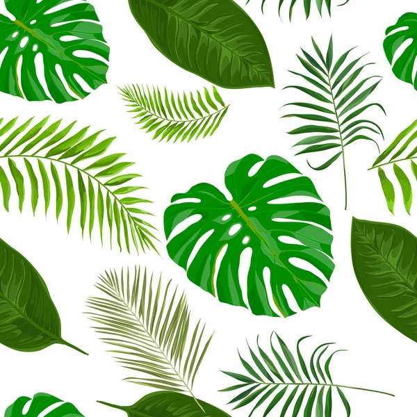 Seamless pattern with tropical exotic leaves — Stock Vector