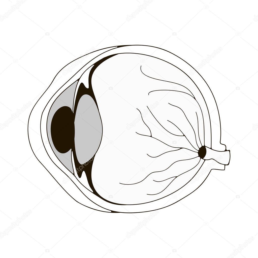 illustration with eyeball. 