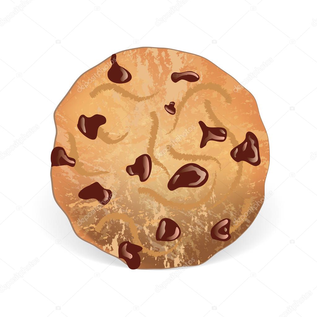 Chocolate chips cookie  illustration