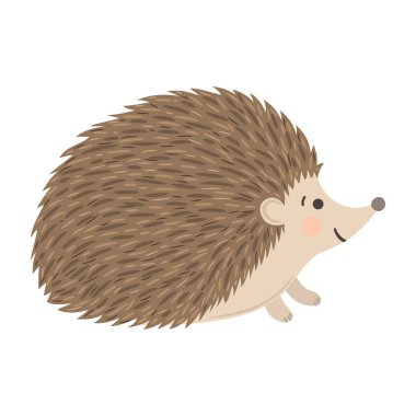 Sevimli kirpi beyaz arka plan üzerinde izole ile vektör çizim