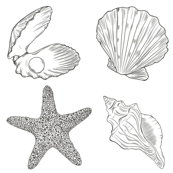 Vector Seamless Pattern Different Seashells — Stock Vector