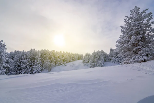 Matin d'hiver coloré dans les montagnes au lever du soleil — Photo