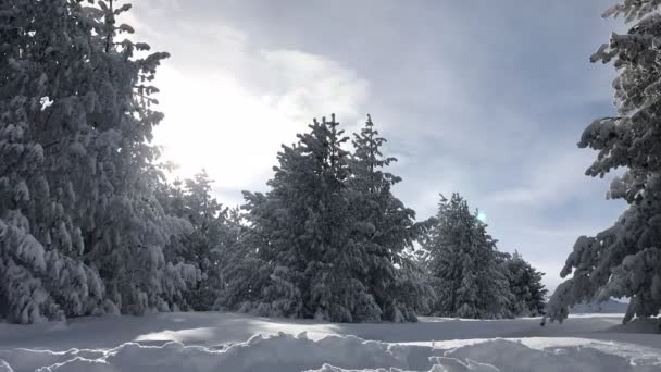 Time-lapse in winter mountain — Stockvideo
