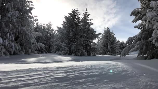 Mann springt in den Schnee — Stockvideo