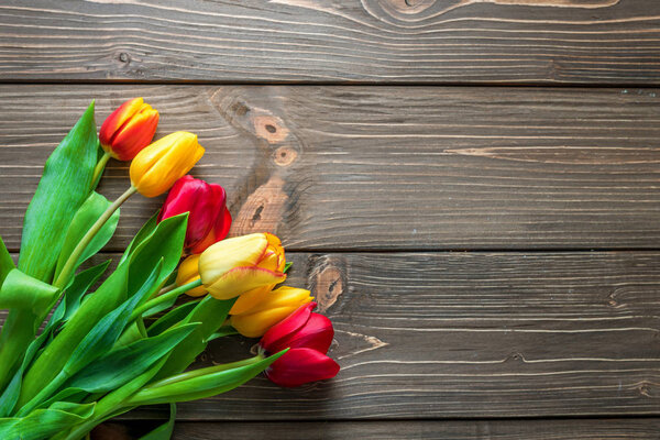 Easter background with beautiful tulips