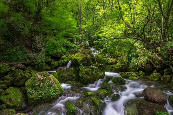 River in the mountains of Bulgaria — Stock Photo, Image