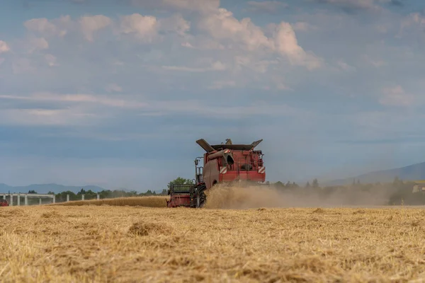 Combinar la cosecha del campo de trigo en un atardecer —  Fotos de Stock