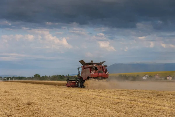 Máquina cosechadora para cosechar el trabajo del campo de trigo —  Fotos de Stock