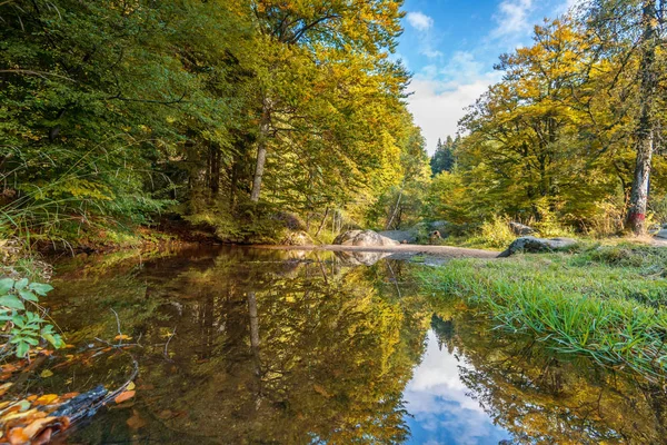 Осінній пейзаж з барвистим лісом . — стокове фото