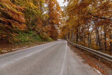Sonbahar yol. Ağaçlarda kırmızı yaprakları.