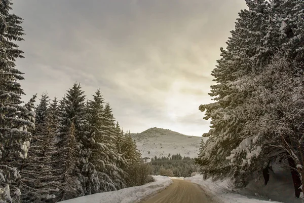 Camino de invierno.Condiciones adversas de conducción . — Foto de Stock