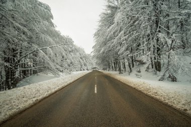 Kış yol. Köy yolunda ormanı. Seyahat kavramı.