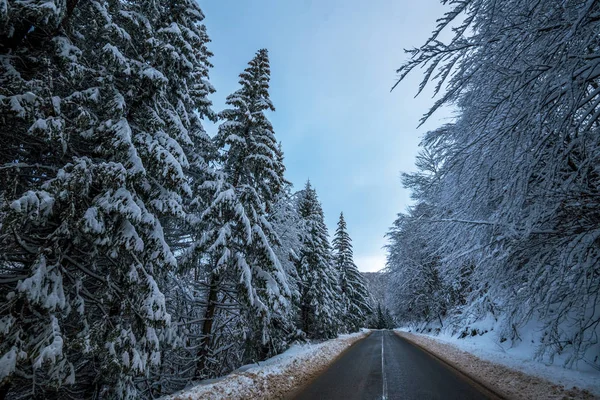 Winter road. Country road through forest. Travel concept. — Stock Photo, Image