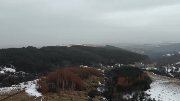 Schöne Drohnenaufnahme Einer Straße Einem Wald Mit Schnee — Stockvideo