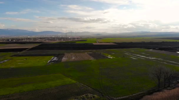 Widok Lotu Ptaka Dziedzinie Rolnictwa Zachodzie Słońca Wiejskich Bułgaria — Wideo stockowe