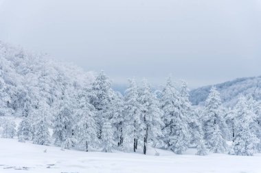 Kış manzara Dağı nın.