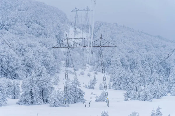 Lignes électriques à haute tension en hiver. — Photo