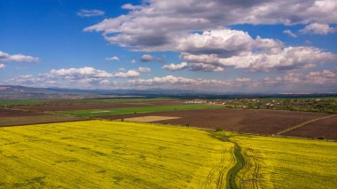Kolza tarlasının hava görüntüsü.
