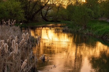Nehrin üzerinde gün batımı.
