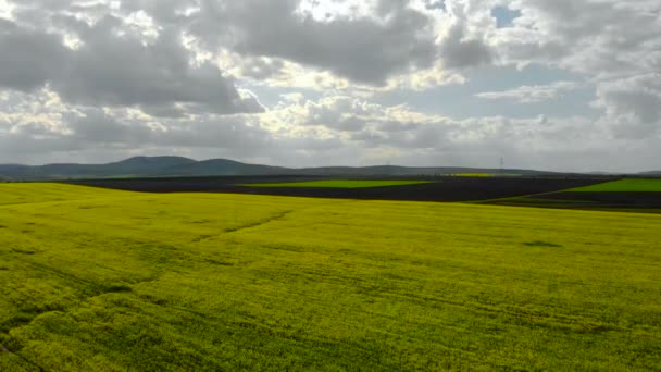 Fotocamera Che Sorvola Campo Colza Fiore Fonte Energia Rinnovabile Gli — Video Stock