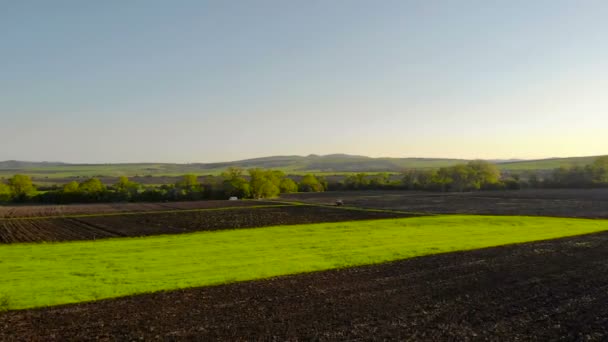 Luftaufnahme Des Sonnenuntergangs Über Dem Traktor Der Das Feld Eggt — Stockvideo