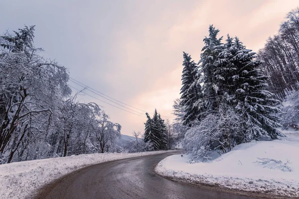 Winter road. Country road through forest. Travel concept. — Stock Photo, Image