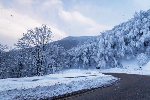 Winter road. Country road through forest. Travel concept. — Stock Photo, Image