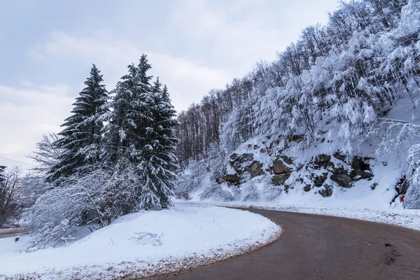 Winter road. Country road through forest. Travel concept. — Stock Photo, Image