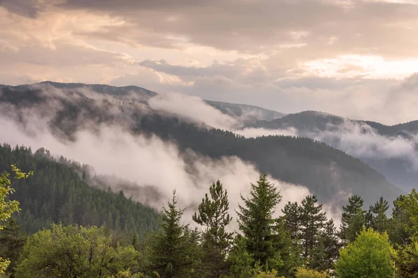 Niebla en el bosque en Bulgaria . — Foto de Stock