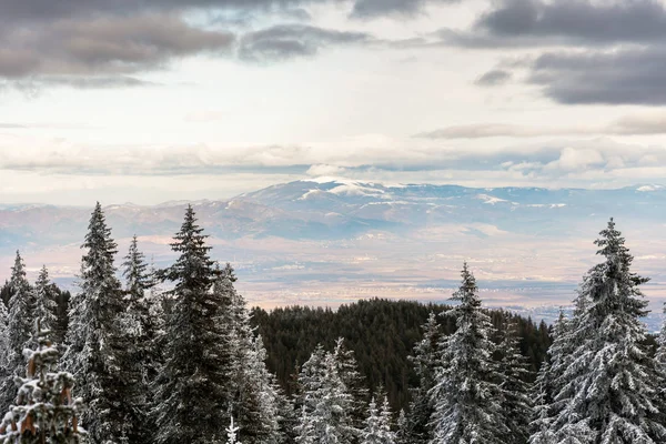 Paisaje invernal de la montaña . — Foto de Stock