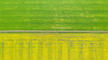 Tarımsal alanların üzerinde hava manzarası.