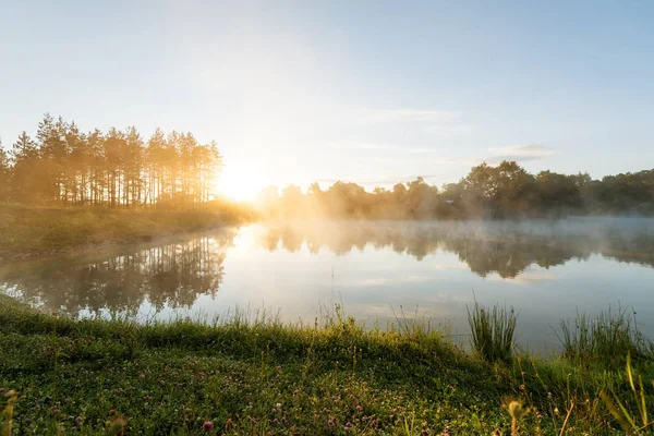 Ранковий туман на лісовому озері . — стокове фото