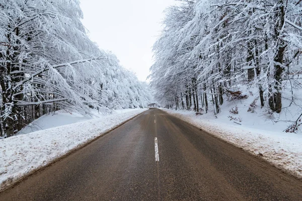 Mountain Winter Road Forest — Stock Photo, Image