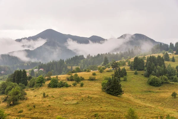 雨の後のジェラ村 Rodope山 ブルガリア — ストック写真
