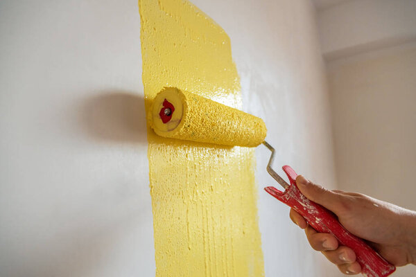 Decorator's hand painting wall with roller.
