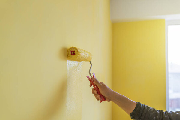 Decorator's hand painting wall with roller.