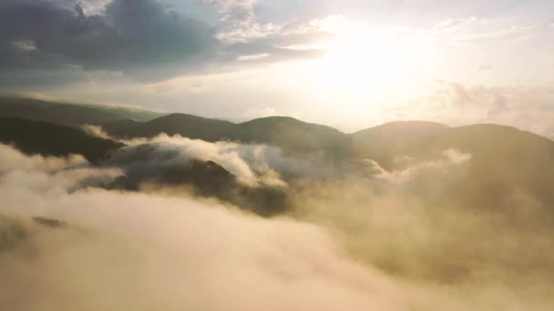 Paisagem Montanha Incrível Com Pôr Sol Vívido Colorido Nevoeiro — Vídeo de Stock