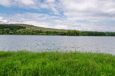 Orman ve dağların arka planına karşı açık havada bir dağ gölü üzerinde çiçek açan ağaçlar.