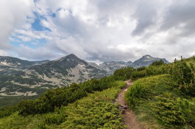 Manzara yaz manzarası, Pirin Dağı, Bulgaristan.