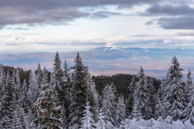 Bulgar dağlarının kış manzarası.