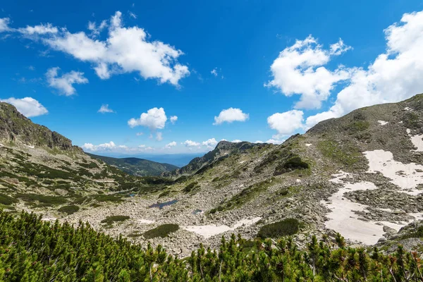 Τοπίο Καλοκαιρινό Τοπίο Pirin Mountain Βουλγαρία — Φωτογραφία Αρχείου