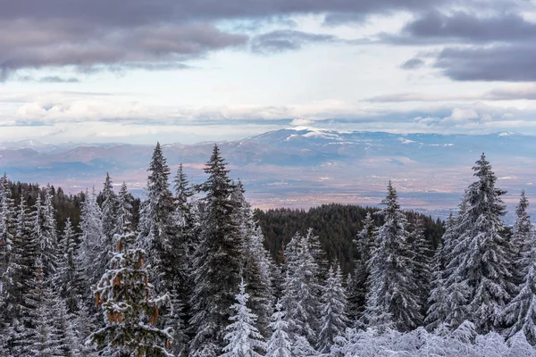 Paisaje Invernal Montañas Búlgaras — Foto de Stock