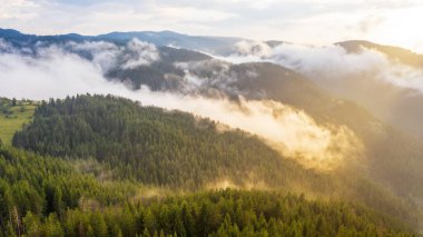 Bulut ve sisle kaplı tropikal yağmur ormanlarının havadan görünümü.