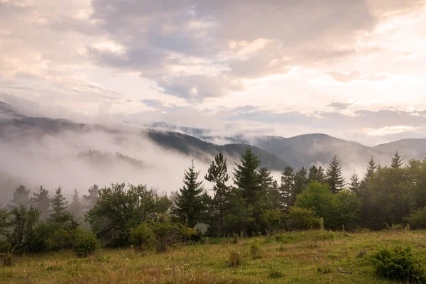 Increíble Paisaje Montaña Con Colorido Atardecer Vivo Niebla — Foto de Stock