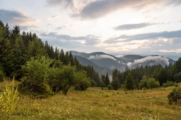 Vacha barajı etrafındaki yeşil tepeler, Rodop Dağları, Filibe Bölgesi, Bulgaristan.