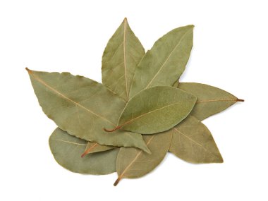Bay defne (Laurus nobilis) yaprakları