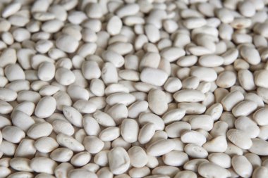 Ekolojik Dermason Fasulye