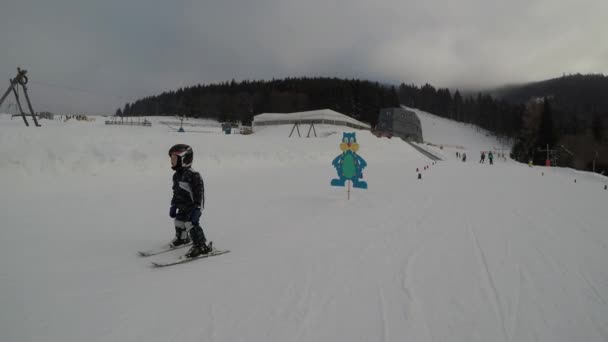 Skikurse Skischul Kleiner Junge Lernt Skifahren Vater Bringt Sohn Das — Stockvideo